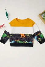 Load image into Gallery viewer, Boys Dinosaur Color Block Tee and Pants Set