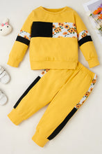 Load image into Gallery viewer, Girls Color Block Sweatshirt and Pants Set