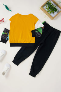 Boys Dinosaur Color Block Tee and Pants Set