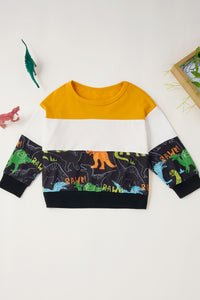 Boys Dinosaur Color Block Tee and Pants Set